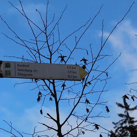 Pension Entersburg Bad Bertrich Esterno foto