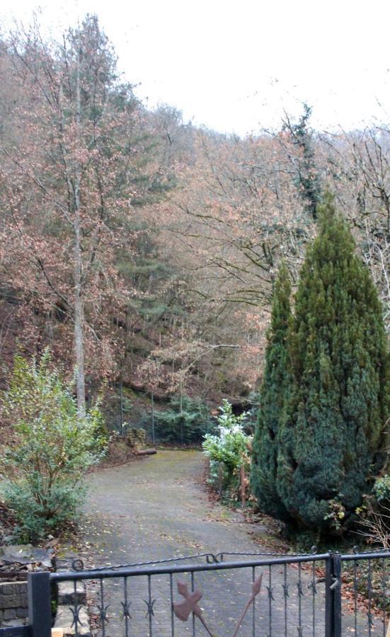 Pension Entersburg Bad Bertrich Esterno foto